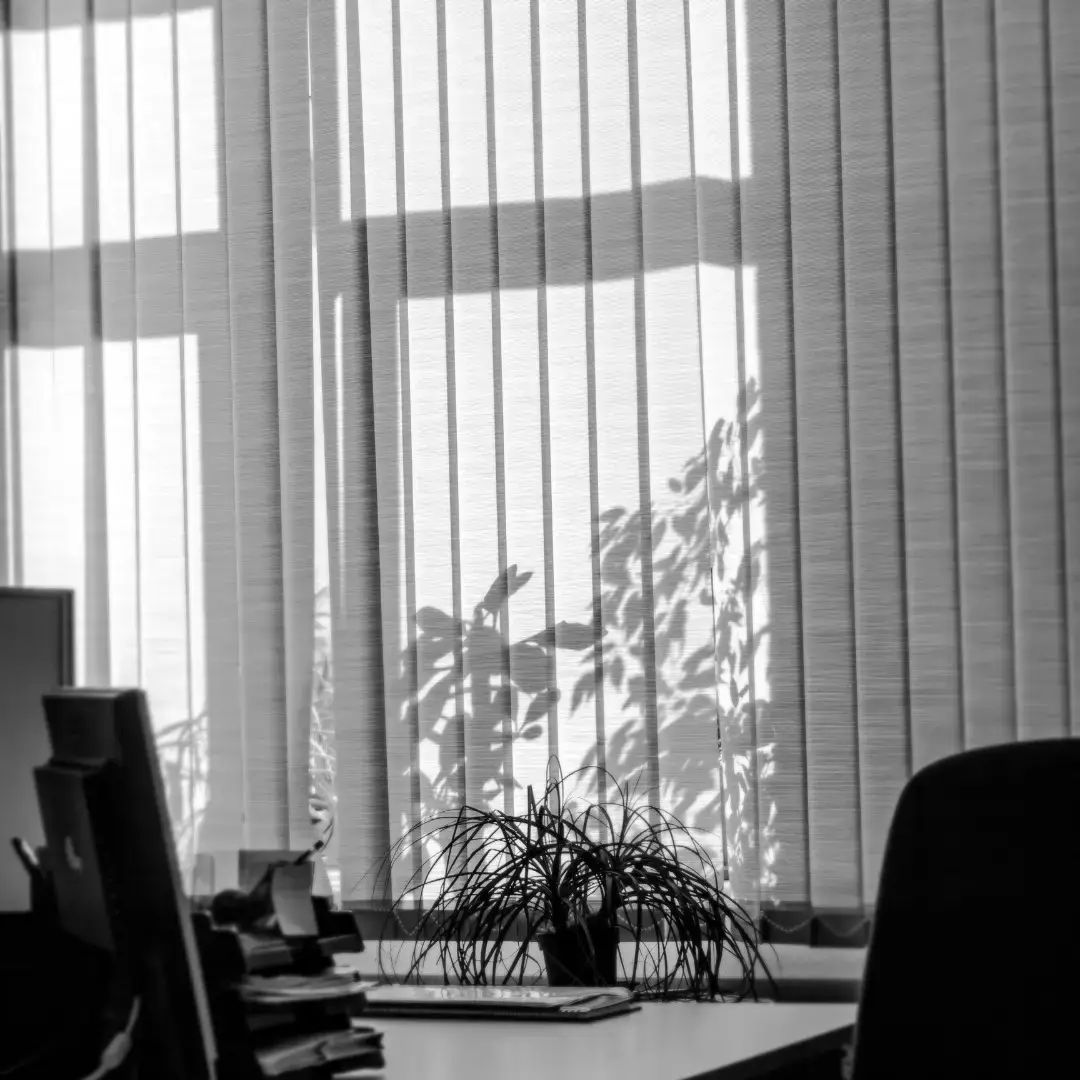Żaluzje pionowe (verticale) — Duże okna, ujęcie 2